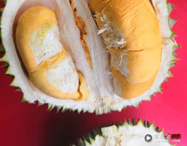 美食 I 榴莲不是只有猫山王才好吃！盘点马来西亚10大品种榴莲 更多热点 图2张